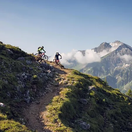 Vivazilare Loft By Alpenluxus Διαμέρισμα Fügen